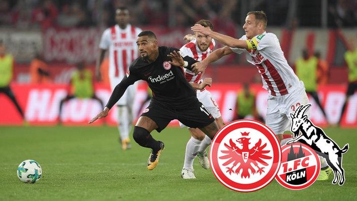 фото: sportschau.de