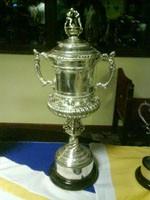 Шеффилдский кубок