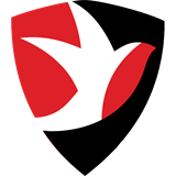 Челтнем Таун