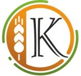 Колос Полонне