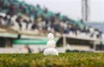 Ворскла 0:2 Заря
