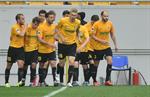 Карпаты 2:2 Александрия