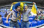 Украина 0:2 Сев. Ирландия