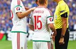 Исландия 1:1 Венгрия