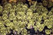 фото Reuters