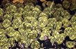 фото Reuters