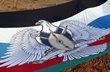 Манифест Южного Судана