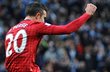 Робин ван Перси, фото skysports.com