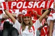 Евро-2012: Польша приняла специальный проект 