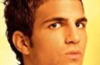 Cesc Fabregas
