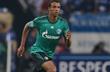 Жоэль Матип, фото www.schalke04.de