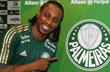 Ароука, фото www.palmeiras.com.br