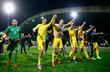Сборная Украины празднует выход на Евро-2016, Getty Images
