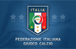 figc.it