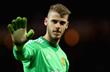Давид Де Хеа, manutd.com