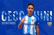 Эмануэль Чеккини, twitter.com/MalagaCF