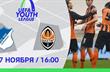 Хоффенхайм U-19 — Шахтер U-19 Видео онлайн трансляция