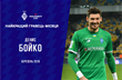 Денис Бойко, фото ФК Динамо Киев