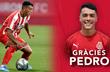 Педро Порро, gironafc.cat 