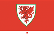 faw.cymru
