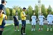 Андрей Шевченко, УАФ