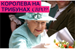 FAVBET очікує королеву на трибунах та собаку на полі у фіналі Євро 2020. Реклама