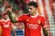 Енцо Фернандес, goal.com