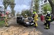 Автівка, на яку впало дерево, ДСНС Запоріжжя