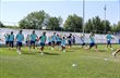 Гравці Динамо, ФК Динамо Київ
