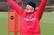 Андрей Аршавин, arsenal.com