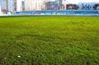 фото fpl.ua