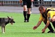 Жора и песик :), sport-express.ru