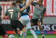 Фото Ole