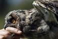 Самая кусючая рубрика страны, фото Reuters