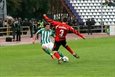 Томь выстояла, rfpl.org