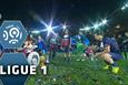 Tour de France. Пять шагов до финиша