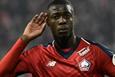 Николя Пепе, Losc Lille