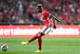 Флорентину Луиш, photo SL Benfica