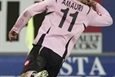 Амаури опят на высоте