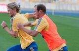 Анатолий Тимощук, фото И.Снисаренко, Football.ua