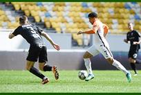 Тайсон, фото фк шахтер