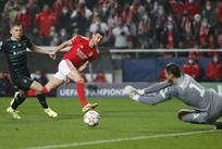 Фото ФК Бенфика