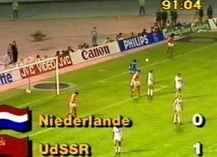 Венгерской поступью по грядкам тюльпанов