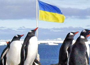 И себе талантов вырастим, и соседям  