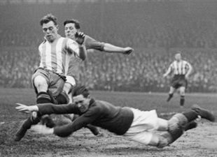 Совы - чемпионы!