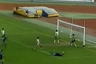 Болгарские перцы для Динамо