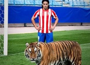 Фалькао на перепутье