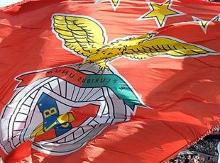 Тест: как много вы знаете о Бенфике?