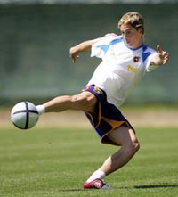 Фернандо Торрес в Манчестере?