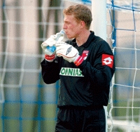 Владимир Гаев